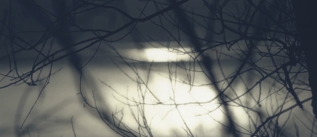 Chanel Edimbourg Trevor Undi